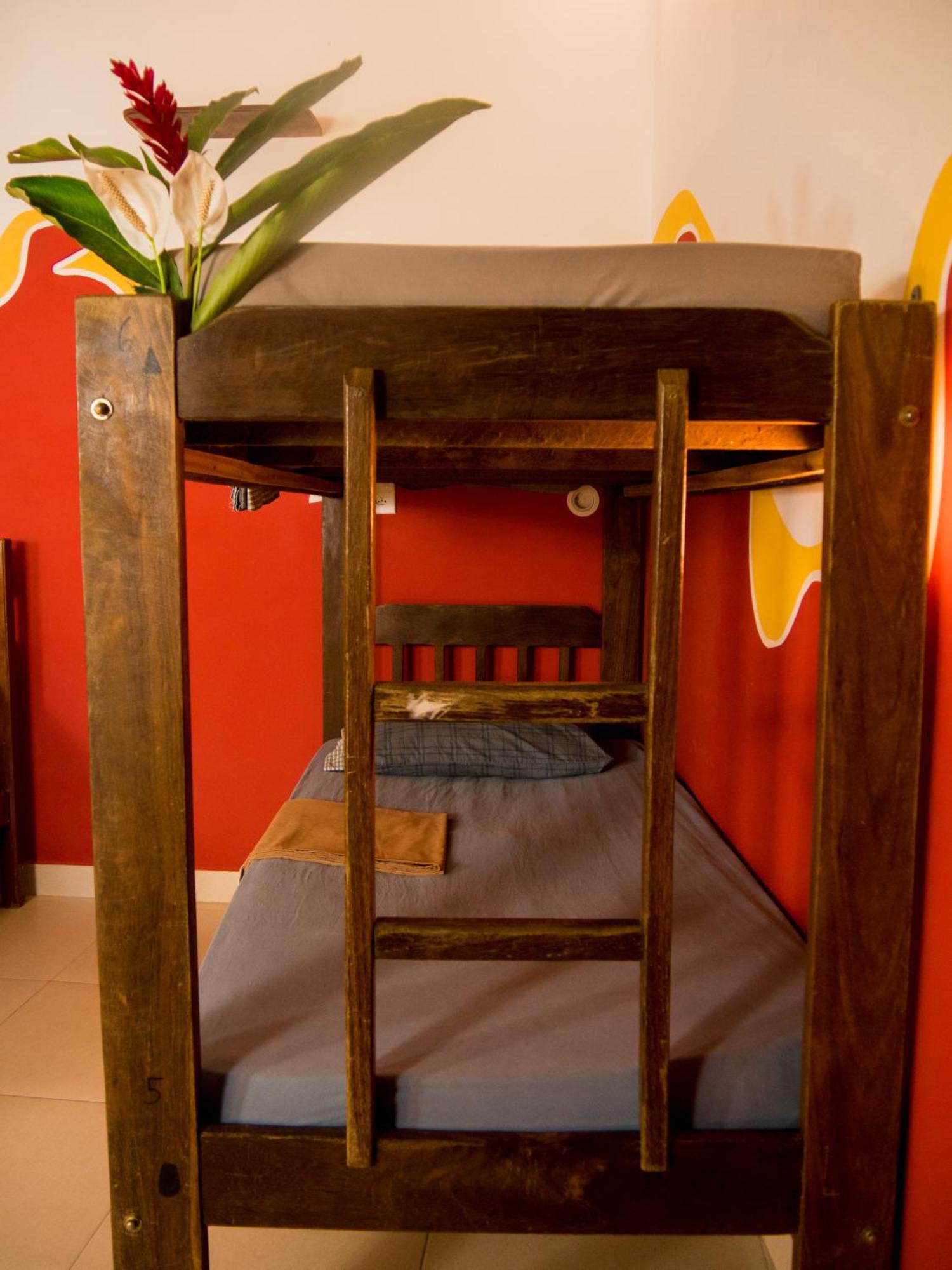 Chapada Backpackers Hostel Agencia لينكويس المظهر الخارجي الصورة